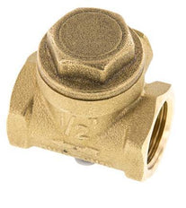 G 1/2'' Messing Swing Terugslagklep 12 Bar (174 Psi) NBR Zachte Seal