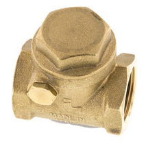 G 3/4'' Messing Swing Terugslagklep 12 Bar (174 Psi) NBR Zachte Dichting