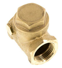 G 3/4'' Messing Swing Terugslagklep 12 Bar (174 Psi) NBR Zachte Dichting