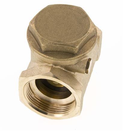 G 1-1/2'' Messing Swing Terugslagklep 10 bar (145 psi) NBR Zachte Seal