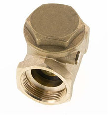 G 1-1/2'' Messing Swing Terugslagklep 10 bar (145 psi) NBR Zachte Seal