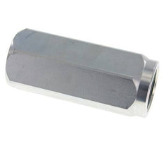 G 1-1/4'' Hydrauliek Terugslagklep Staal 8-300 bar (116-4350 psi)
