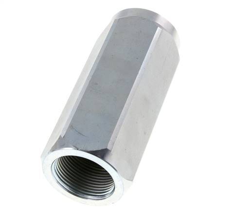 G 1-1/4'' Hydrauliek Terugslagklep Staal 8-300 bar (116-4350 psi)