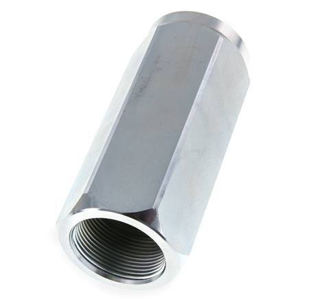 G 1-1/2'' Hydrauliek Terugslagklep Staal 0.7-300 bar (10.15-4350 psi)