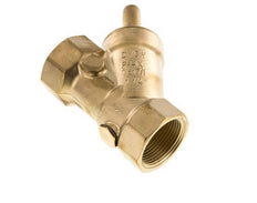 Rp 1-1/4'' Messing Y Terugslagklep Drinkwater 10 Bar (145 Psi) EPDM
