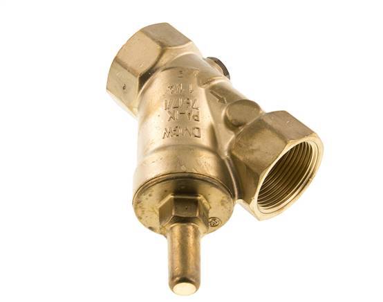 Rp 1-1/4'' Messing Y Terugslagklep Drinkwater 10 Bar (145 Psi) EPDM
