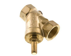 Rp 1-1/4'' Messing Y Terugslagklep Drinkwater 10 Bar (145 Psi) EPDM