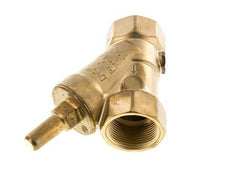 Rp 1-1/4'' Messing Y Terugslagklep Drinkwater 10 Bar (145 Psi) EPDM
