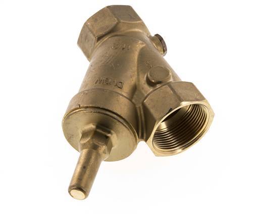 Rp 1-1/2'' Messing Y Terugslagklep Drinkwater 10 Bar (145 Psi) EPDM