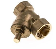 Rp 1-1/4'' Messing Y Terugslagklep 10 bar (145 psi) NBR