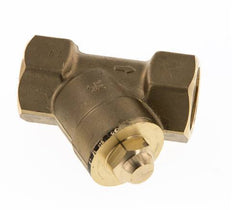 Rp 1-1/4'' Messing Y Terugslagklep 16 bar (232 psi) FKM