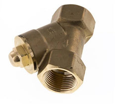 Rp 1-1/4'' Messing Y Terugslagklep 16 bar (232 psi) FKM