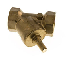 Rp 1-1/2'' Messing Y Terugslagklep 16 bar (232 psi) FKM