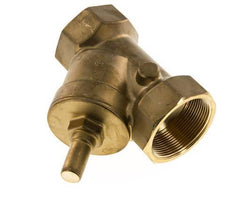 Rp 1-1/2'' Messing Y Terugslagklep 16 bar (232 psi) FKM
