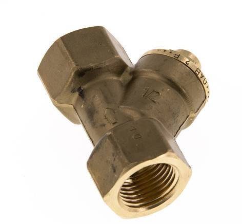 Rp 1/2'' Messing Y Terugslagklep 10 bar (145 psi) FKM