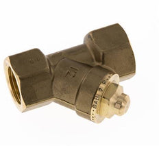 Rp 1/2'' Messing Y Terugslagklep 10 bar (145 psi) FKM