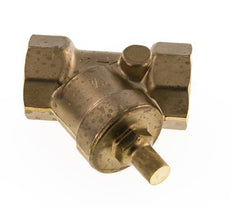 Rp 1-1/4'' Messing Y Terugslagklep 10 bar (145 psi) FKM
