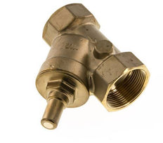 Rp 1-1/2'' Messing Y Terugslagklep 10 bar (145 psi) FKM