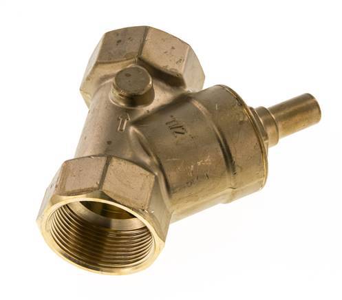 Rp 1-1/2'' Messing Y Terugslagklep 10 bar (145 psi) FKM