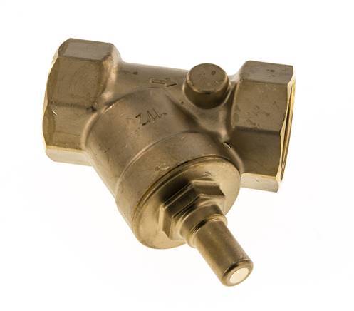 Rp 1-1/2'' Messing Y Terugslagklep 10 bar (145 psi) FKM