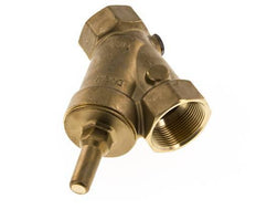 Rp 2'' Messing Y Terugslagklep 10 bar (145 psi) FKM