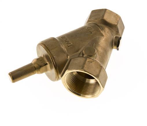 Rp 2'' Messing Y Terugslagklep 10 bar (145 psi) FKM