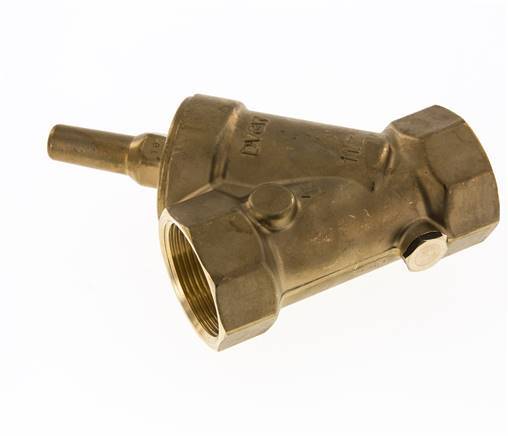 Rp 2'' Messing Y Terugslagklep 10 bar (145 psi) FKM