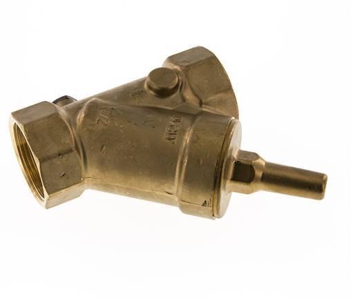 Rp 2'' Messing Y Terugslagklep 10 bar (145 psi) FKM