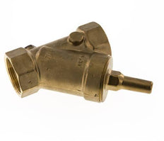 Rp 2'' Messing Y Terugslagklep 10 bar (145 psi) FKM