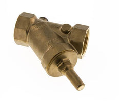 Rp 2'' Messing Y Terugslagklep 10 bar (145 psi) FKM