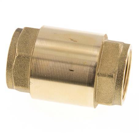 G 1'' Messing Terugslagklep Voor Vacuum -0.95..25 bar (-13.7..362.5 psi)