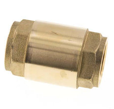 G 1'' Messing Terugslagklep Voor Vacuum -0.95..25 bar (-13.7..362.5 psi)