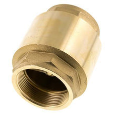G 2-1/2'' Messing Terugslagklep Voor Vacuum -0.95..12 bar (-13.7..174 psi)