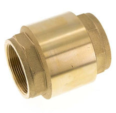 G 2-1/2'' Messing Terugslagklep Voor Vacuum -0.95..12 bar (-13.7..174 psi)