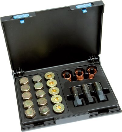 31-Delige Schroefdraad Reparatieset voor Oliecarter M17x1,5